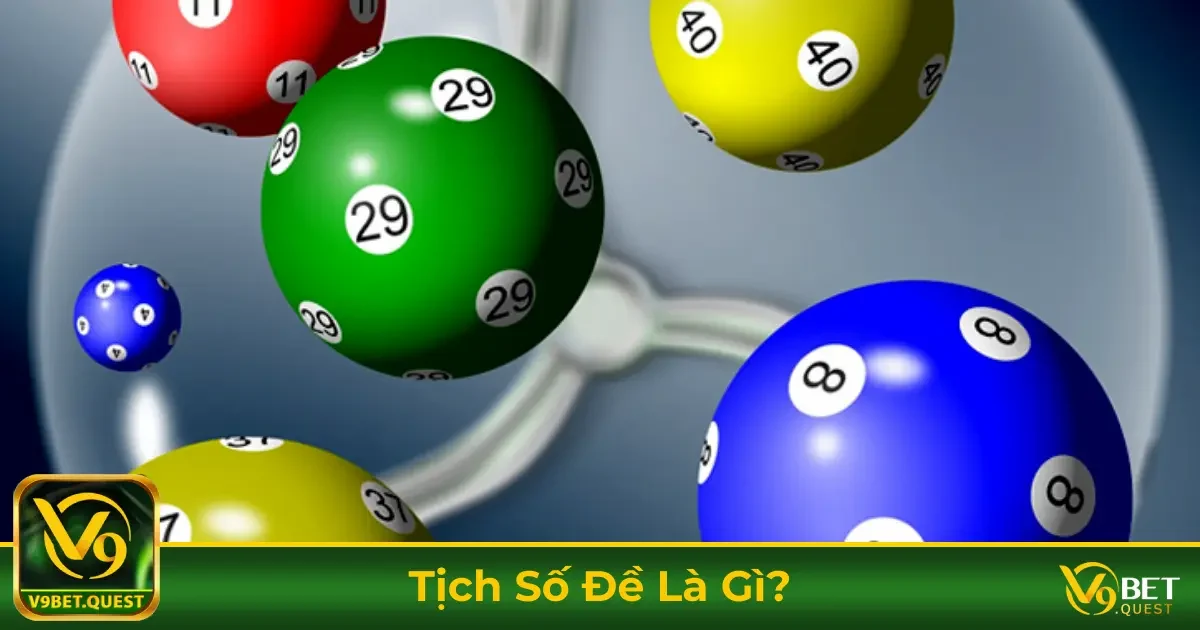 Tịch Số Đề Là Gì? Cách Nhận Biết & Khi Nào Nên Áp Dụng